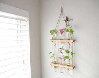 Rustic Two-Tiered Wood and Glass Propagation Station with Test Tubes - Wall Hanging Plant Display