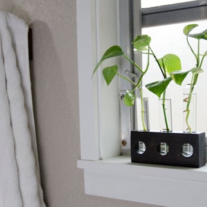 Plant Propagation Station | 3 Test Tube Vase Holder
