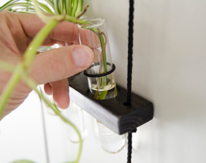Glass Test Tube Propagation Vase: 45ml with O-Ring Hanger