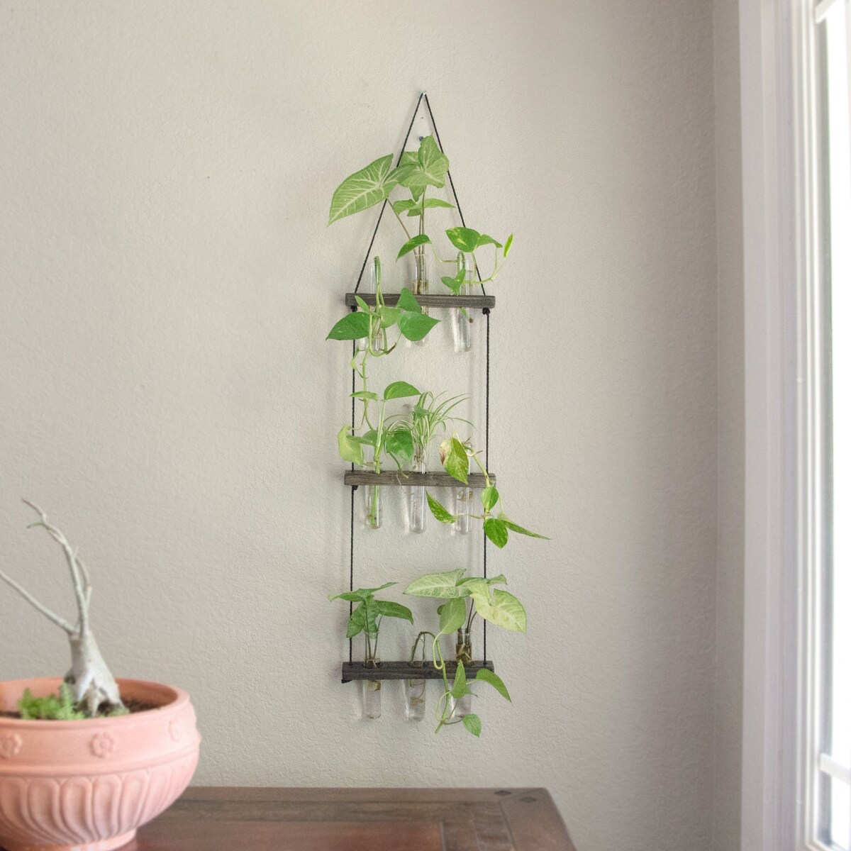 Hanging Ladder Propagation Station | Three Tier Tube Vase Display - Etsy