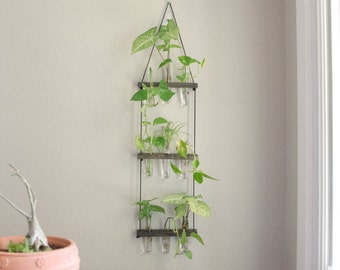 Hanging Ladder Propagation Station | Three Tier Tube Vase Display