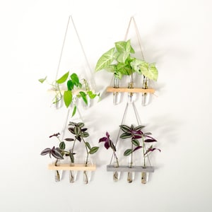 Hanging Wall Propagation Station Three Tube Vase