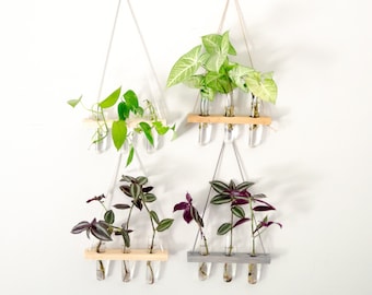 Hanging Wall Propagation Station Three Tube Vase