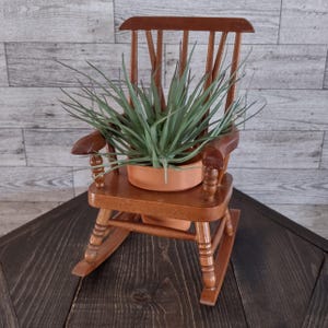 May include: A miniature wooden rocking chair in a warm brown finish. A terracotta-colored pot holds a green plant with long, slender leaves. The chair has a slatted back and curved rockers, creating a charming, rustic aesthetic.