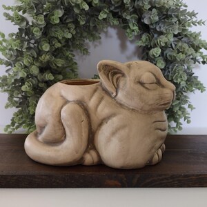 May include: A beige ceramic planter shaped like a resting cat with its eyes closed. The cat is in a curled position with its tail wrapped around its side. The surface has a matte finish with darker shading in the crevices to define the features.