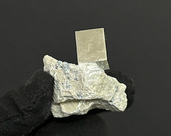 La *Mini Pyrite Cubique Sur Matrice De Mina Ampliación A Victoria, Navajún, Espagne.
