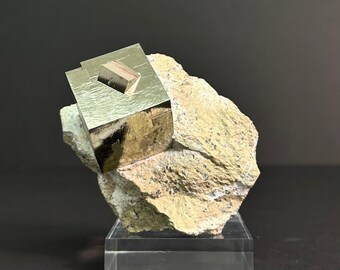 *Pyrite Intergrown Specimen on Matrix från Mina Ampliación A Victoria, Navajún, La Rioja, Spanien
