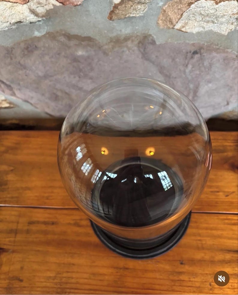 Vintage Glass Cloche Dome With Wood Base – Antique Style Display Dome ...
