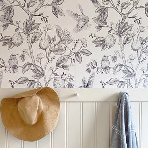 Vintage Hummingbirds Wallpaper, Peel and Stick Wallpaper, Removable, Traditional or Prepasted Wallpaper Mural, Natura — Aspen Walls #141