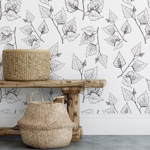 Birch Leaves Wallpaper, Peel and Stick Wallpaper, Removable, Traditional or Prepasted Wallpaper Mural — Aspen Walls #063