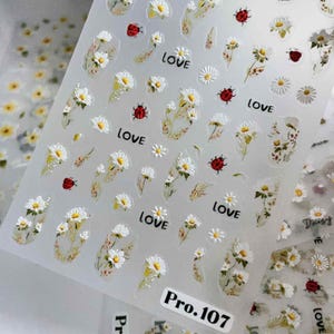 May include: Transparent sheet of nail art stickers with white daisies, red ladybirds, and the word "LOVE" in black. The stickers feature floral and insect designs, with the text "Pro.107" at the bottom.
