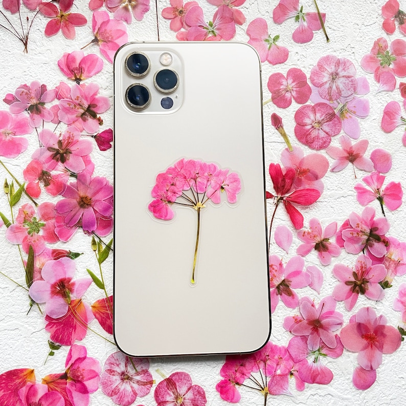 May include: A white iPhone case with a pressed flower design. The flower is pink and has five petals. The case has a camera lens cutout and a white background.