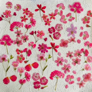 May include: A collection of pressed pink flowers arranged on a white background. The flowers are various sizes and shapes, including roses, daisies, and other wildflowers.