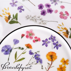 May include: Assortment of pressed flower stickers featuring various colours and types of flowers, including purple, pink, yellow, and orange. The stickers are arranged on a white background with the word "Breakfast" written in black cursive.