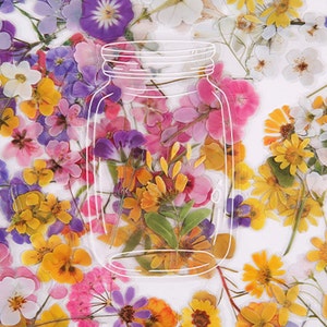 May include: A clear glass jar filled with pressed flowers in various colors, including yellow, pink, purple, and white. The jar is outlined in white and has a lid.