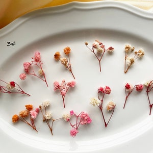 Gypsophila essiccato, piccoli fiori, regalo per cassetta della posta, piccolo fiore per resina, decorazione per inviti di nozze, fornitura per nail design