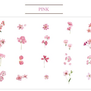 May include: A collection of pink pressed flowers, including single blossoms, clusters of flowers, and petals. The flowers are arranged in a grid pattern on a white background.