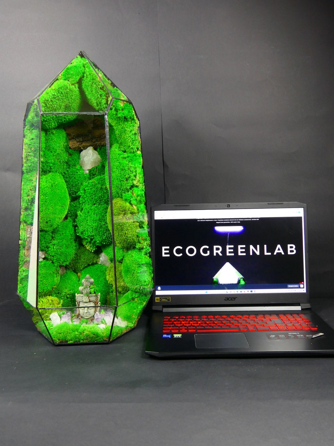 Mindfulness Terrarium Giant Mossarium Glass Case Luxury Moss Etsy