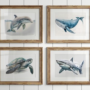 Puede incluir: Cuatro ilustraciones enmarcadas de vida marina. El marco superior izquierdo muestra un delfín saltando fuera del agua. El marco superior derecho muestra una ballena azul nadando. El marco inferior izquierdo muestra una tortuga marina nadando. El marco inferior derecho muestra un tiburón nadando.