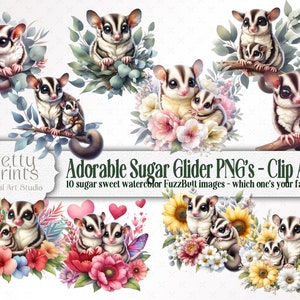 Schattig Sugar Glider aquarel PNG Clip Art bundel, afdrukbare download, Sugar Glider sticker, schattige Fuzz Butt kaarten maken exotische huisdieren