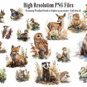 18 Woodland Friends Clip Art, Digital Images - Cards, Invitations, Prints, Scrapbooking, Journaling, Wildlife, Animals, Commercial Use, PNG