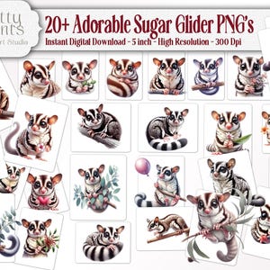 Sugar Glider buideldier exotisch huisdier DIY Craft, Fuzzbutts Journal stickers, exotische huisdier illustratie, kaarten maken, pocket huisdieren Clip Art kortstondige