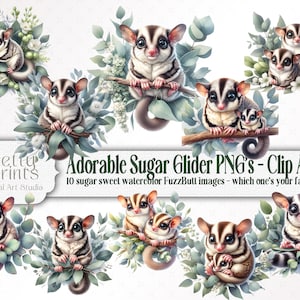 May include: Ten watercolour illustrations of sugar gliders in various poses, surrounded by green leaves and white flowers. The illustrations are in a cartoon style and feature cute, expressive faces. The text "Adorable Sugar Glider PNG's - Clip Art" is at the top of the image.