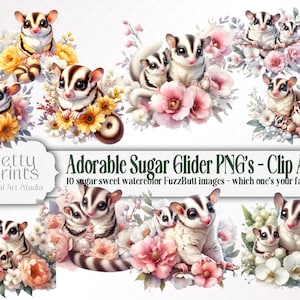 Sugar Glider buideldier exotisch huisdier png Craft, Fuzzbutts Journal sticker, illustratie exotisch huisdier, kaarten maken, Pocket Pets Clip Art Ephemera
