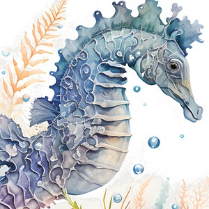 Set of 9 Wonderful Sea Creatures, Marine Life Poster, Whales and Dolphin, Fun Marine Life Prints ...