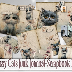 Sassy Cats Folio Junk journal Printable Kitten Keepsake, Feline Ephemera, Card making Paper Craft Insert, Pussy Cat Lover Digital Scrapbook