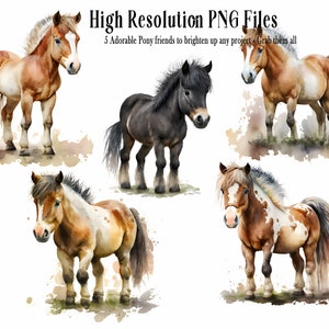 Joli poney Clip Art en téléchargement numérique, animaux de la ferme, chevaux et poneys, meilleur ami des filles, mignons poneys, petits chevaux, animal mignon PNG