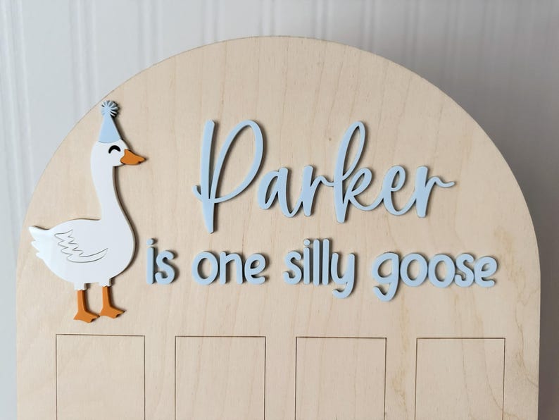 Personalized One Silly Goose 1st Birthday Photo Board - Multiple Sizes ...