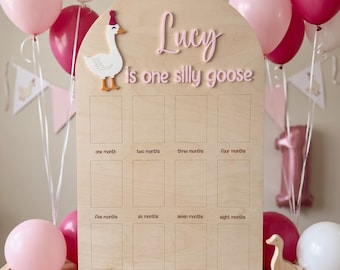 May include: An arched wooden milestone board featuring the text Lucy is one silly goose, a white goose illustration with a pink party hat, and twelve rectangular photo slots labeled from one month to one year, surrounded by pink and white balloons.