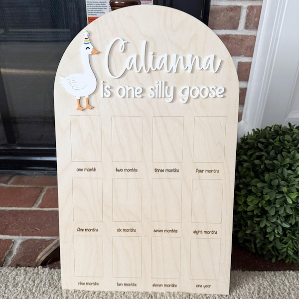 Personalized One Silly Goose 1st Birthday Photo Board - Multiple Sizes Available