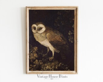 Nature Painting, Owl, Vintage Fine Art, Wall Art, Home Decor, Digital Download, 1800&#39;s Painting, Digital Print, Farmhouse