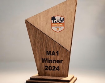 Trofeo de madera personalizado 2026 / Placa de premio grabada a medida / Regalo corporativo / Logotipo a todo color o solo grabado