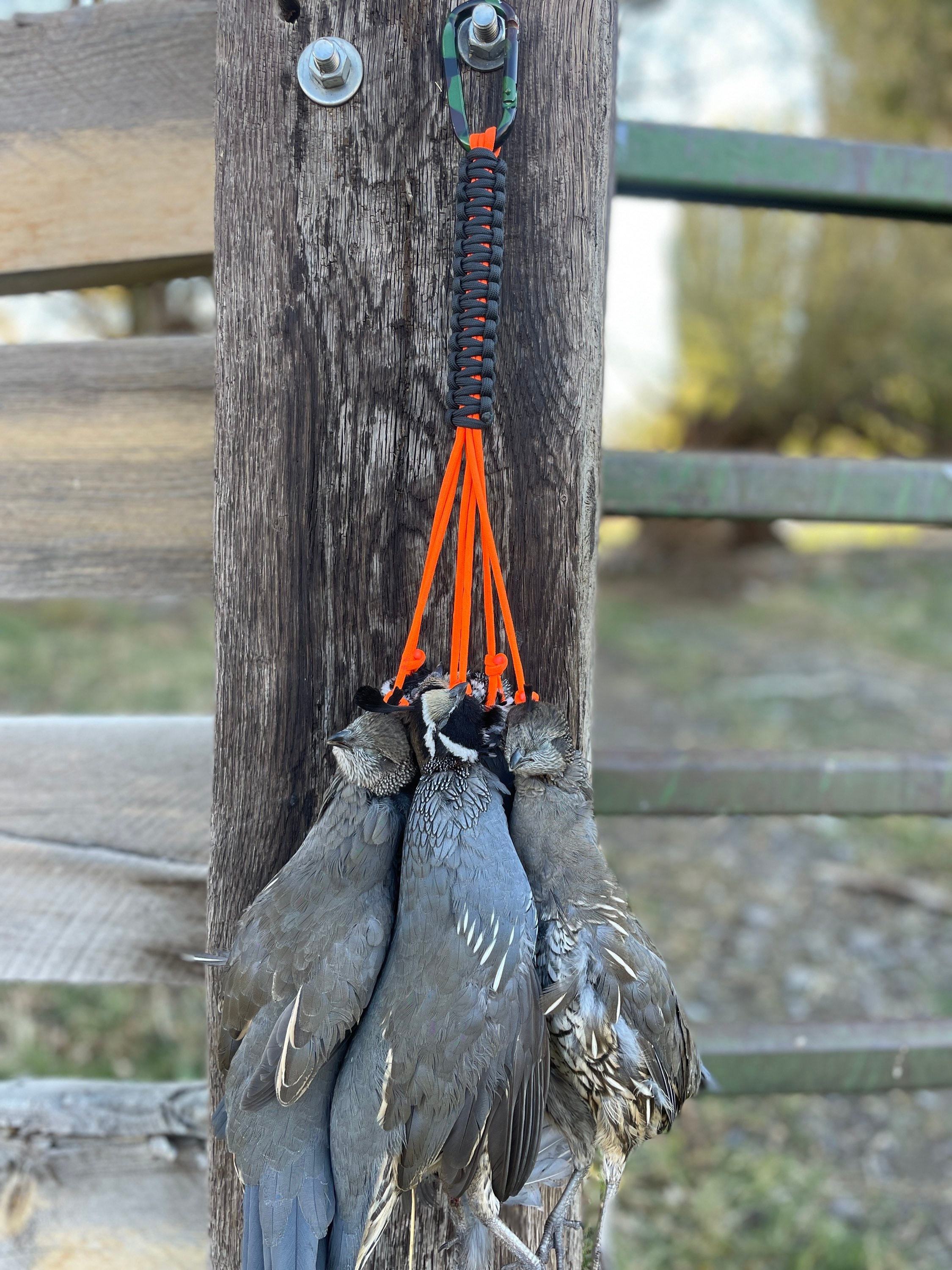 Hunting Game Carrier