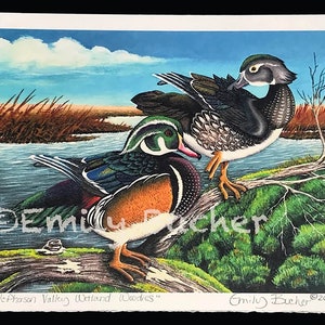 Impresión de patos de bosque / Emily Bucher "McPherson Valley Wetland Woodies", 9" x 12"
