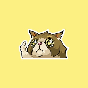 Crying Cat Valorant Spray Waterproof Sticker, Valorant Meme Sticker