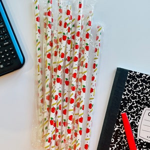School teacher  9 inch reusable straws, eco friendly, environmentally safe, apple, pencil, kindergarten, gift,stocking stuffer, appreciation