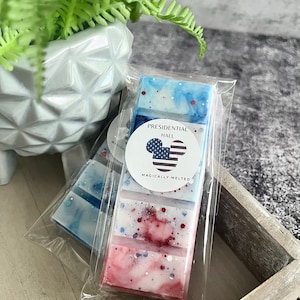 PRESIDENTIAL HALL, snap bar, Magical wax melt, home fragrance, Theme park scents, firecracker pop
