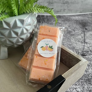 POG JUICE, Snap bar, Magical wax melt, home fragrance, Theme park scents