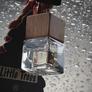 May include: A clear glass car air freshener with a wooden top. The air freshener is hanging from a string and is in front of a blurry background of raindrops on a window. The air freshener has the text "Little Trees" on the bottom.