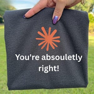 Puede incluir: Una camiseta gris carbón oscuro con un gráfico de estallido solar naranja brillante centrado sobre el texto blanco que dice, You're absouletly right! La tela tiene una textura jaspeada visible y se sostiene frente a un fondo exterior borroso.