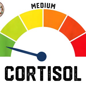 May include: A gauge with a curved scale, labelled "LOW" to "HIGH", and "MEDIUM" at the centre. The needle points towards the "LOW" end. The word "CORTISOL" is printed below the gauge in bold, black letters.