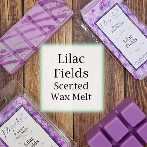 Lilac Fields Scented Wax Melt: Floral Parasoy Fragrance