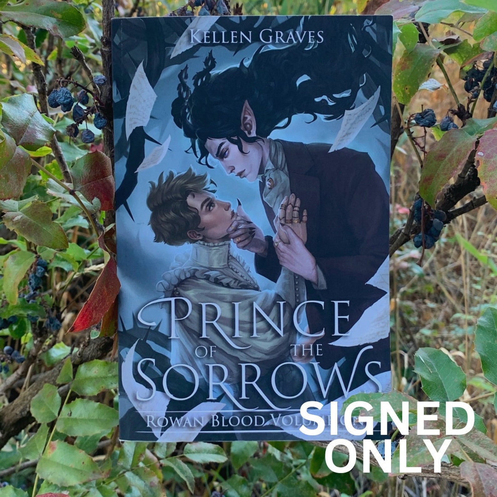 prince of sorrows kellen graves prince of sorrows kellen graves