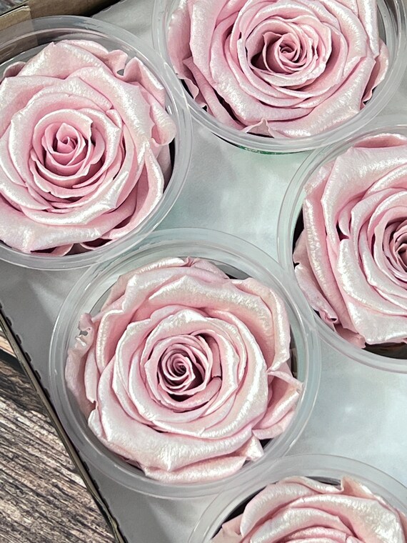 Details 200 picture rosas preservadas al por mayor Abzlocal.mx