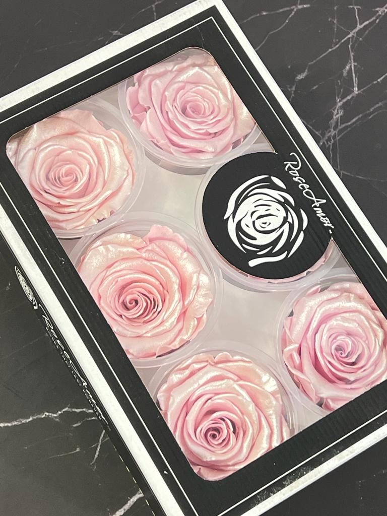 Wholesale XL Sixpack Roseamor Preserved Roses, High Quality, Pink