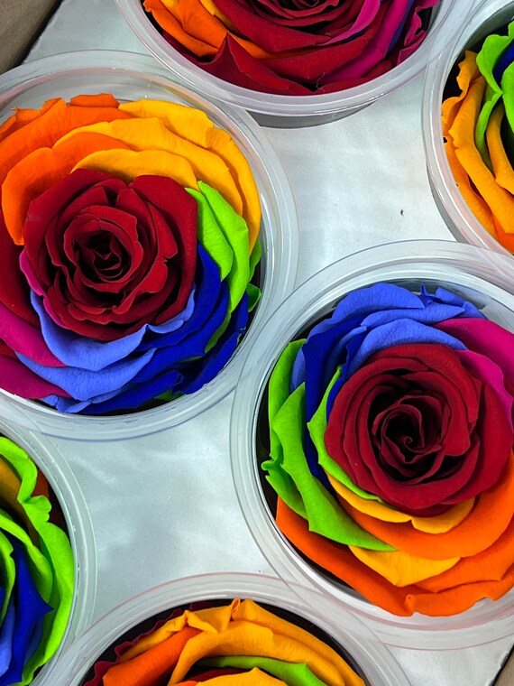 Details 200 picture rosas preservadas al por mayor Abzlocal.mx